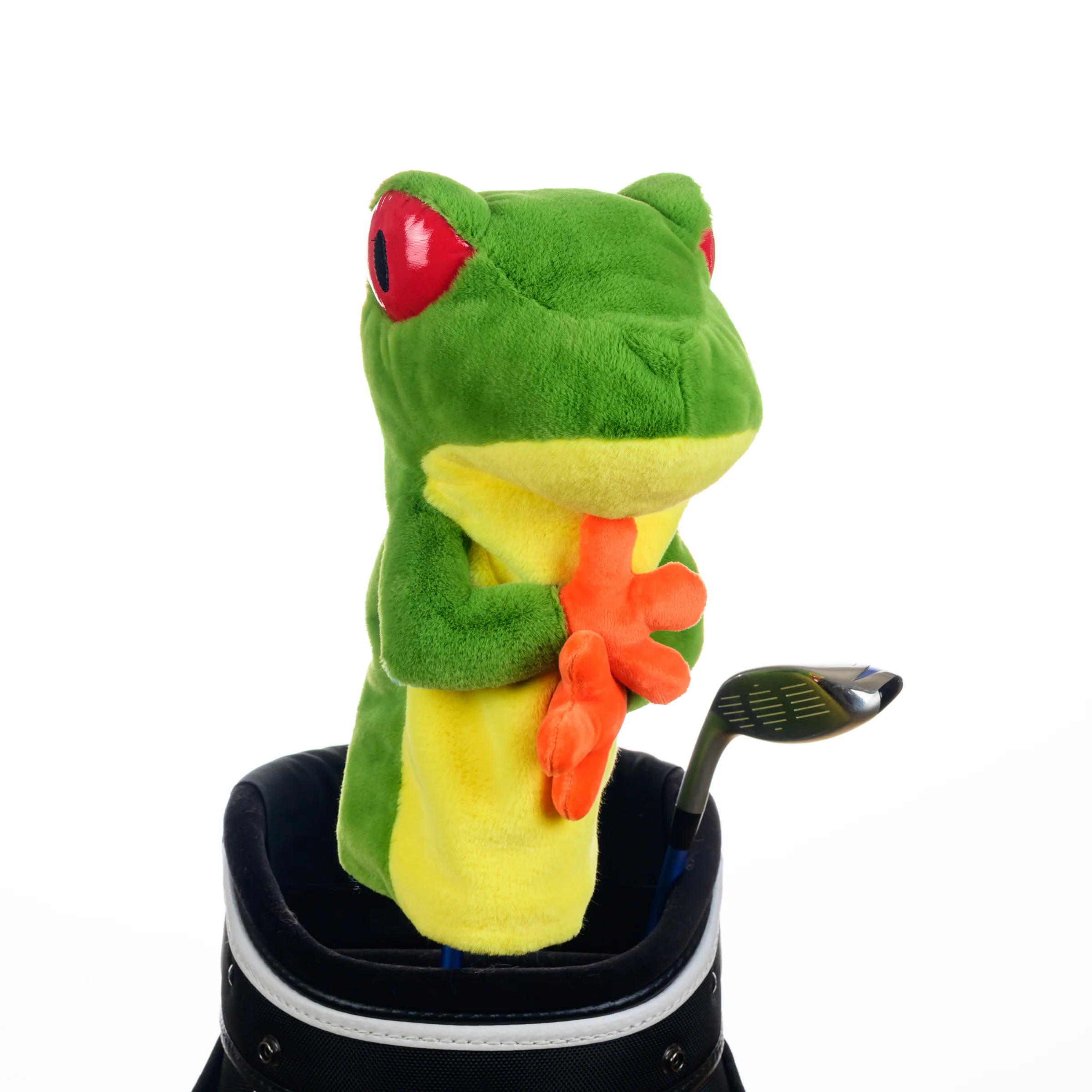 Tree Frog - Image 5