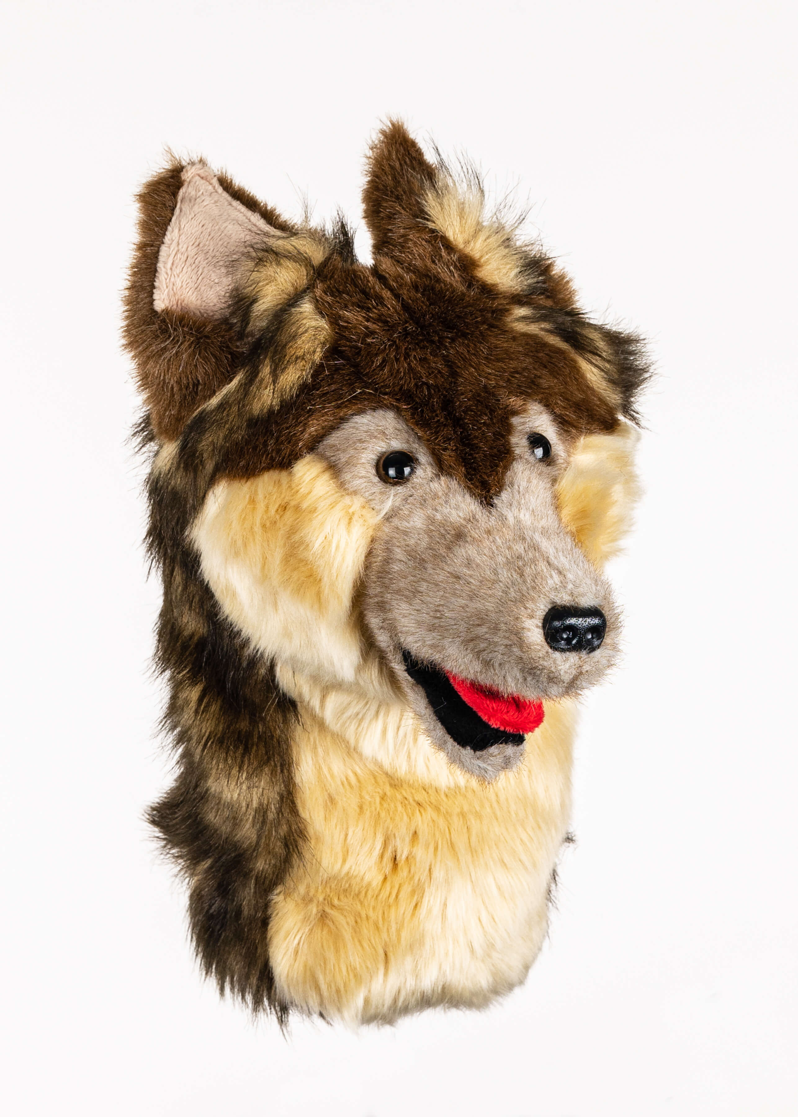 Wolf - Image 2