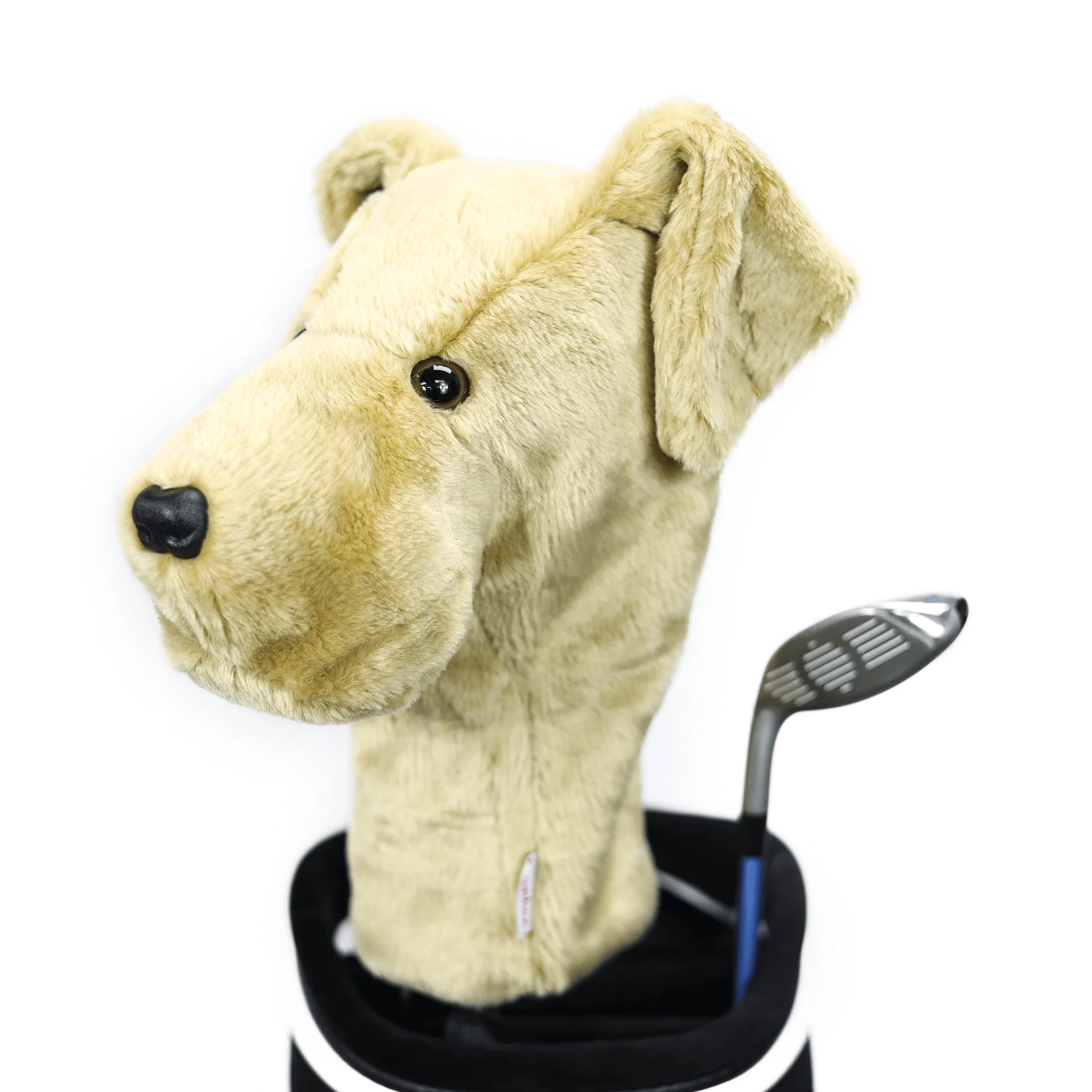 Yellow Lab - Image 3
