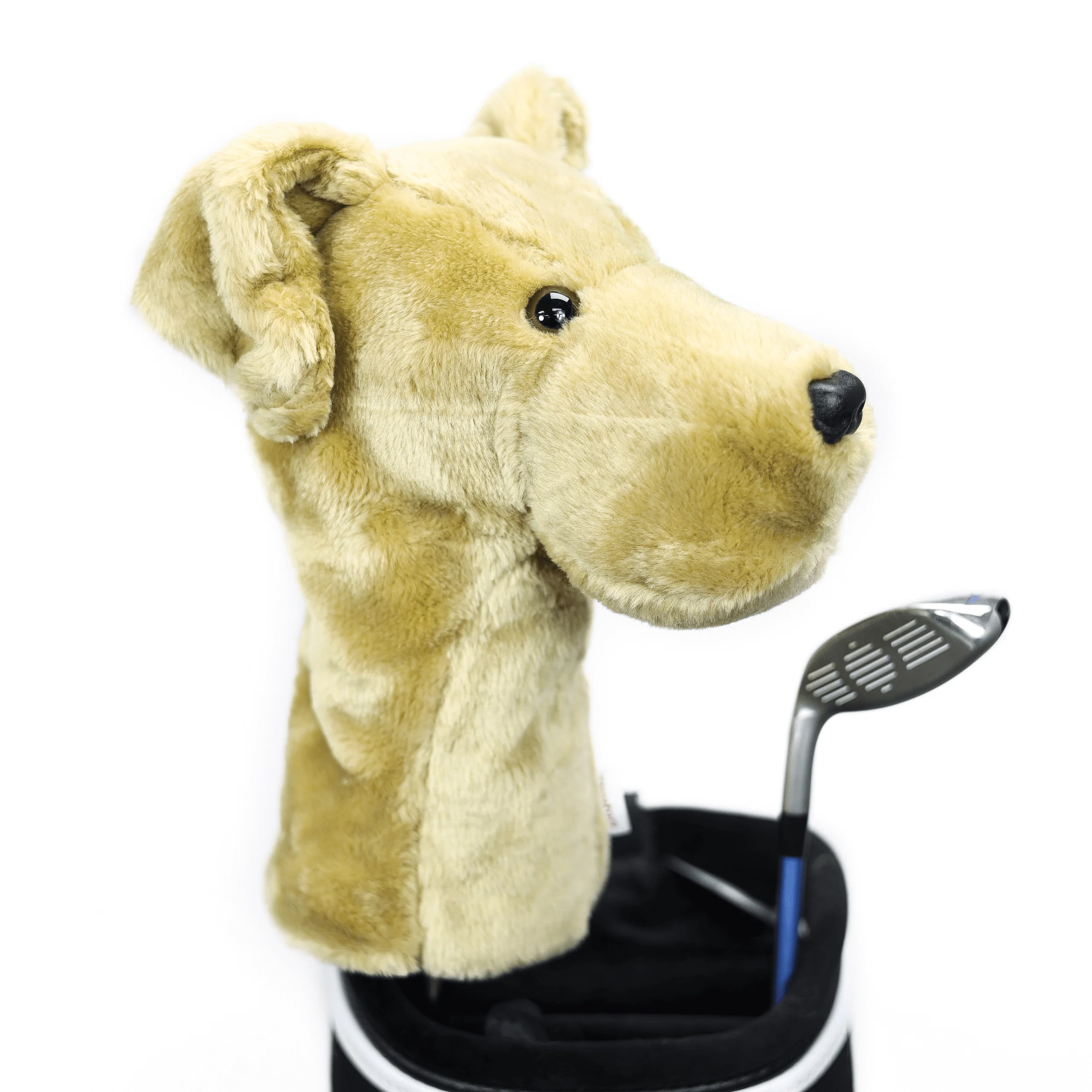 Yellow Lab - Image 4